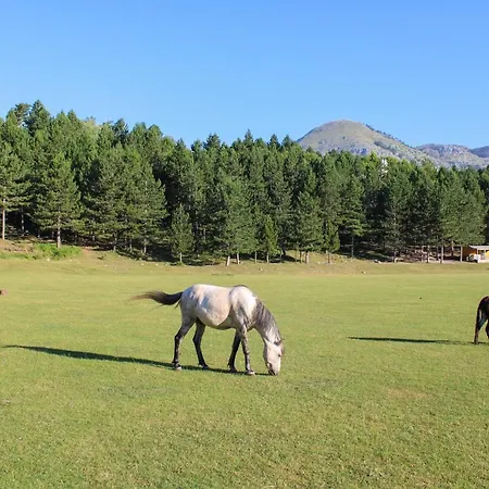 Üdülőközpont Natyral Razma