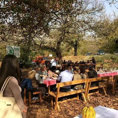 Natyral Razma Üdülőközpont Razëm