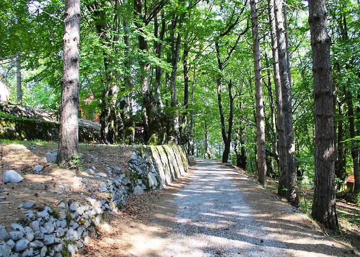 Natyral Razma Resort