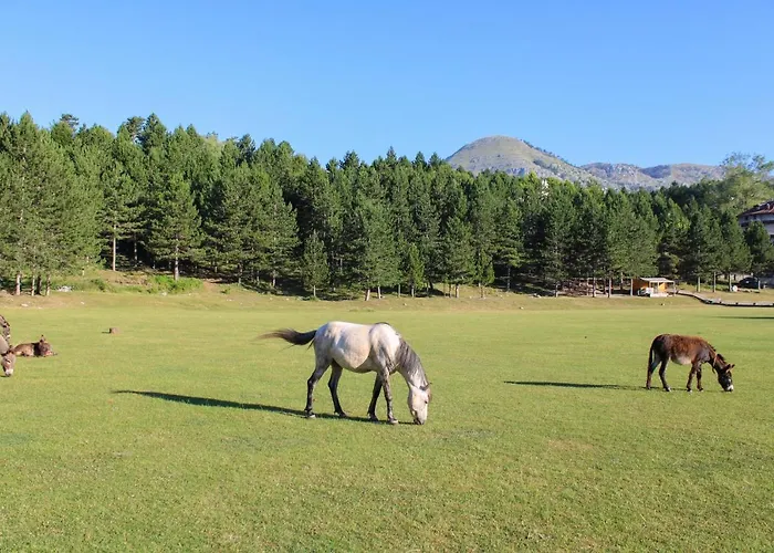 Resort Natyral Razma