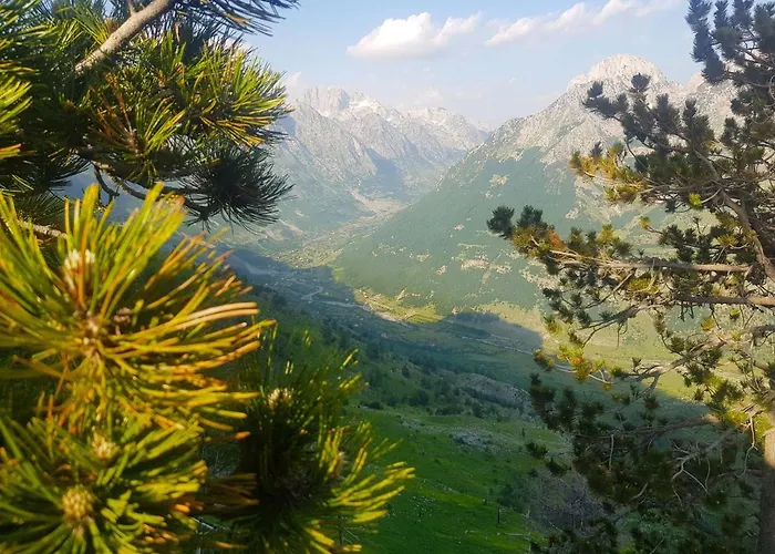 Resort Natyral Razma 4*